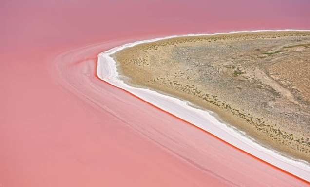 Everything you need to know about South Australia’s bright pink lakes