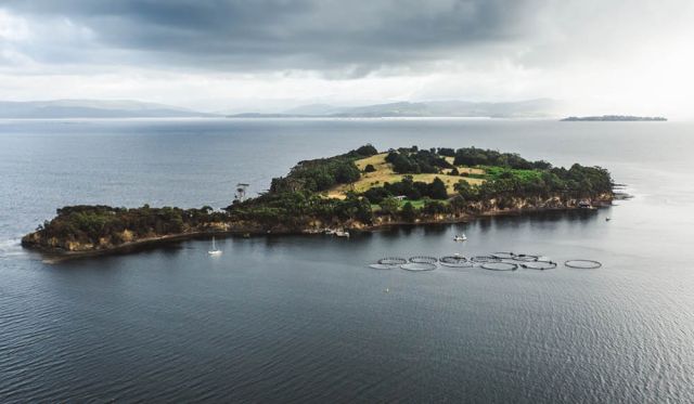 Satellite Island Tasmania