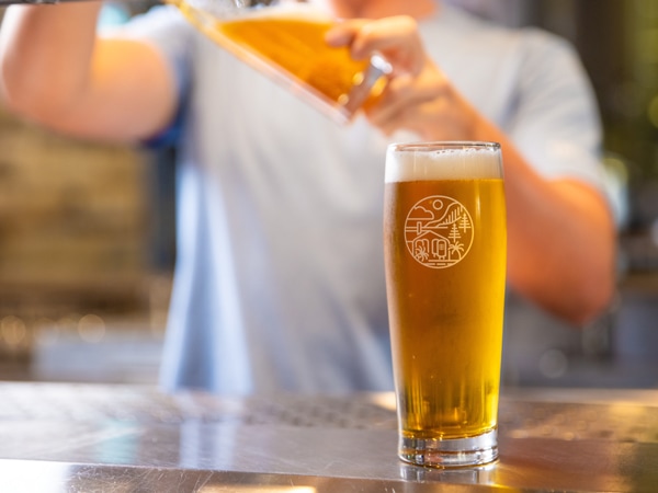 a bartender pouring local craft beer into a glass at Burleigh Brewing Company