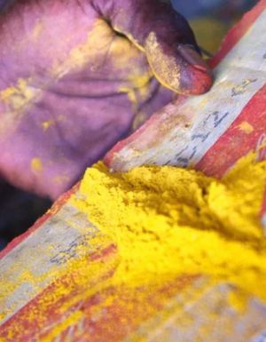 yellow ochre, Tiwi Islands art tour