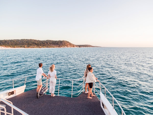 Whale Cruise Hervey Bay