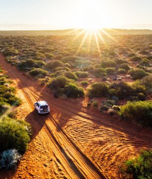 <p><i>Insider tips</i> before you drive the big lap of <strong>Australia</strong></p>
