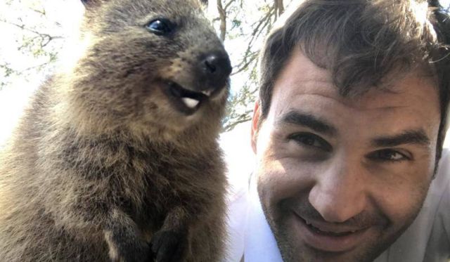 Roger Federer snaps a selfie with an adorable Quokka.