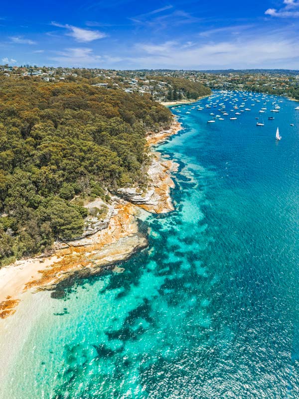 panoramic views of Fairlight Beach from Balgowlah Heights