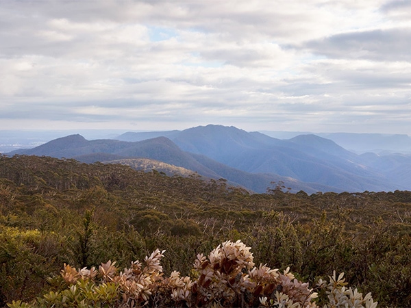 Budawang National Park