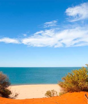 <p><strong>Monkey Mia</strong>, <i>where the red desert meets the sea</i></p>
