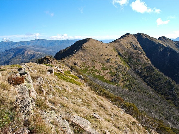 The Australian Alps Walking Track