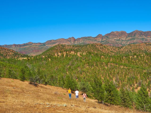 The Arkaba Walk, Flinders Ranges