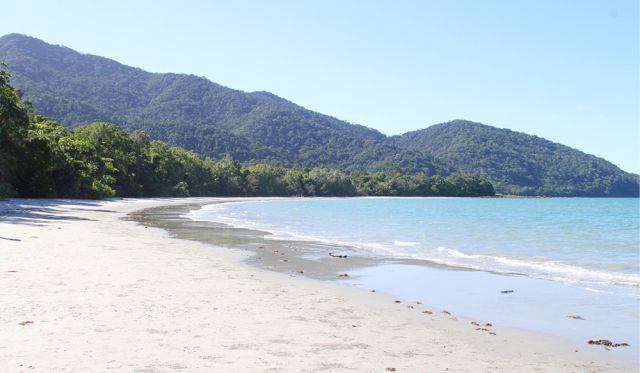 Cape Tribulation Beach QLD