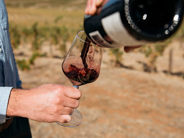 Two Hands Wine Tasting