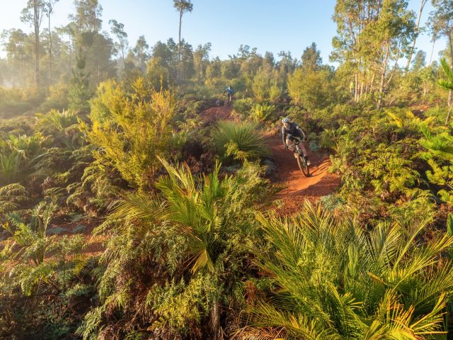Mountain bike in Dwellingup