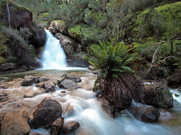 Ladies Bath Falls Bright