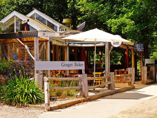 Ginger Baker Bright Victoria