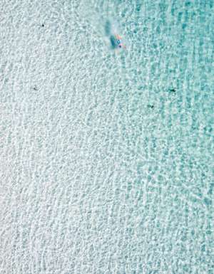 Photography: Dillon Seitchik-Reardon