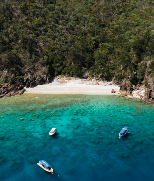 <p><i>Which</i> <strong>Whitsunday Island</strong> <i>is best for you?</i></p>
