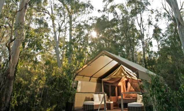 Paperbark Camp in Jervis Bay.