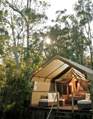 Paperbark Camp in Jervis Bay.