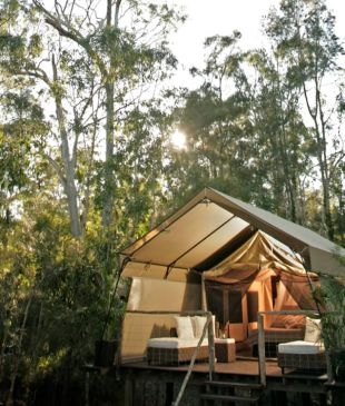 <p><i>Six quirky</i> <strong>NSW South Coast</strong> stays you need to book</p>
