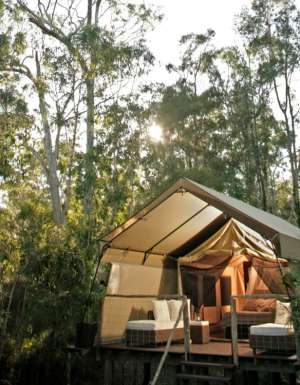 Paperbark Camp in Jervis Bay.
