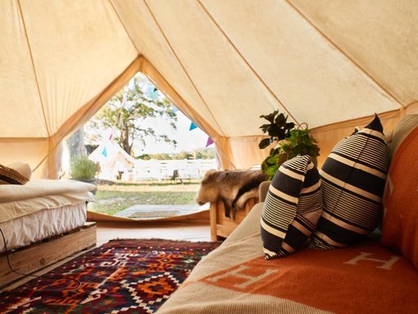 The Woods, NSW South Coast.