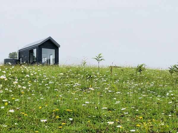 In2thewild listings.