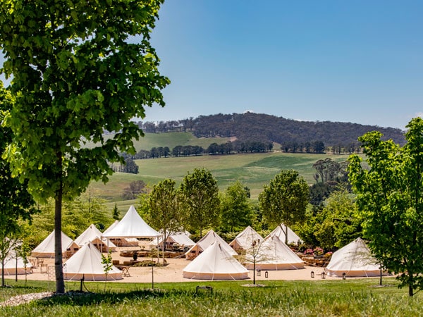 glamping tents set up at Mayfield Garden, Oberon