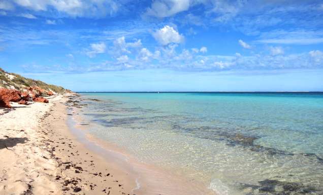 Beach Ningaloo reef