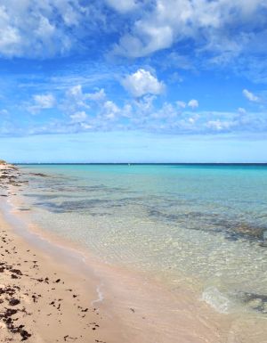 Beach Ningaloo reef