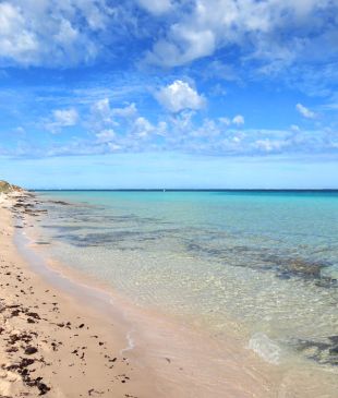 <p><i>The best ways to experience</i> the pristine <strong>Ningaloo Reef</strong></p>
