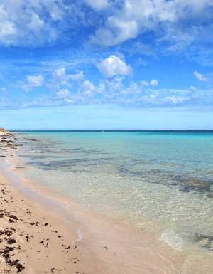 Beach Ningaloo reef