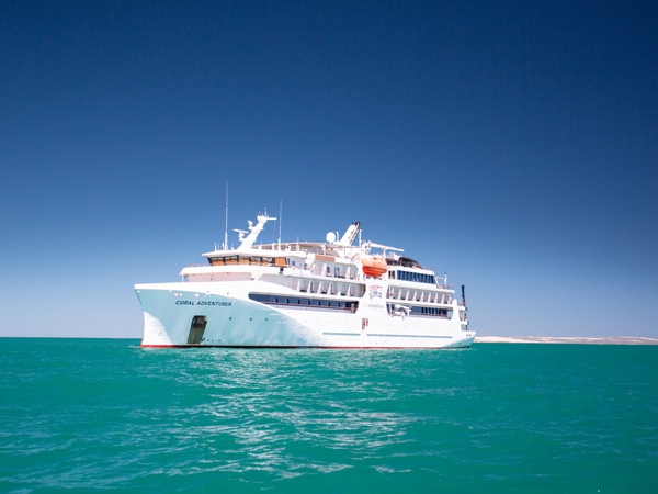 the Coral Adventurer at sea