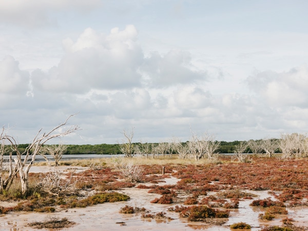 the Dampier Peninsula, Kimberley