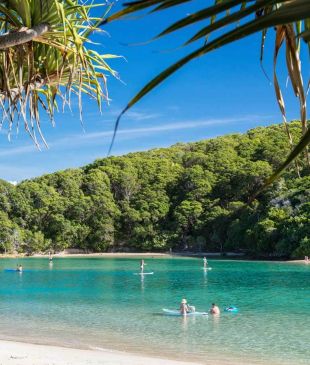 <p><i>17 things to do in</i> <strong>Palm Beach</strong>, <strong>Queensland</strong></p>
