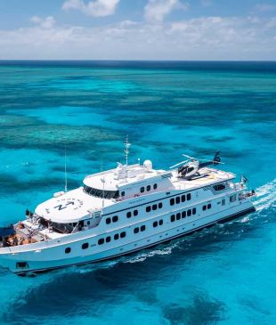 <p><i>The dummy’s guide</i> to choosing a cruise</p>
