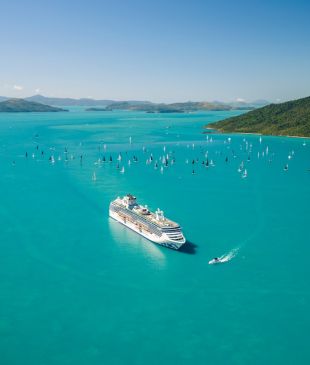 <p><i>Everything to know</i> before booking your first cruise</p>
