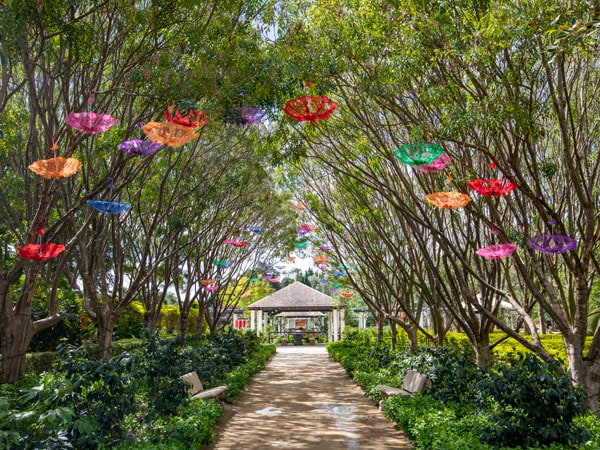 the scenic grounds of the Hunter Valley Gardens in Pokolbin
