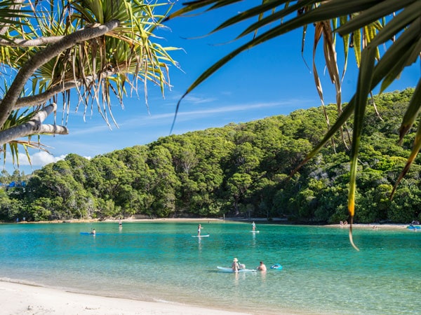 people kayaking and paddle boarding along the calm waters of Tallebudgera Creek
