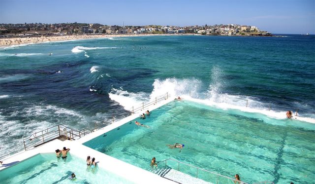 Bondi Icebergs
