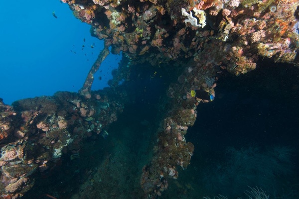 SS Yongala wreck