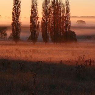 New South Wales
