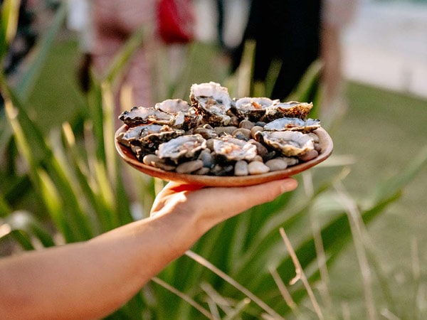 Oysters at Bangalay Dining