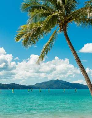 Catseye Beach, Hamilton Island