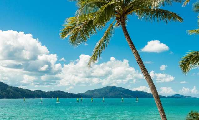Catseye Beach, Hamilton Island