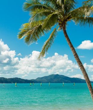 <p><i>The 13 best things to do for families</i> on <strong>Hamilton Island</strong></p>
