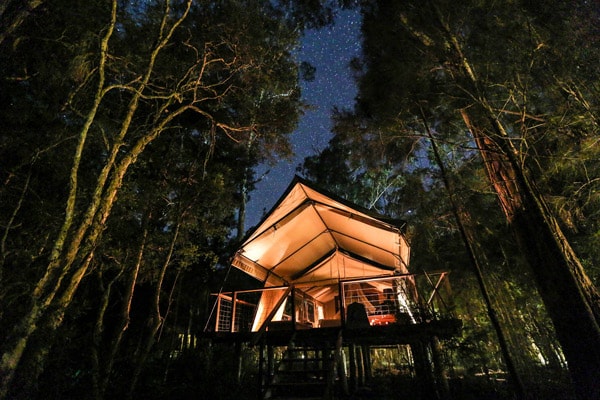 Paperbark camp in the evening