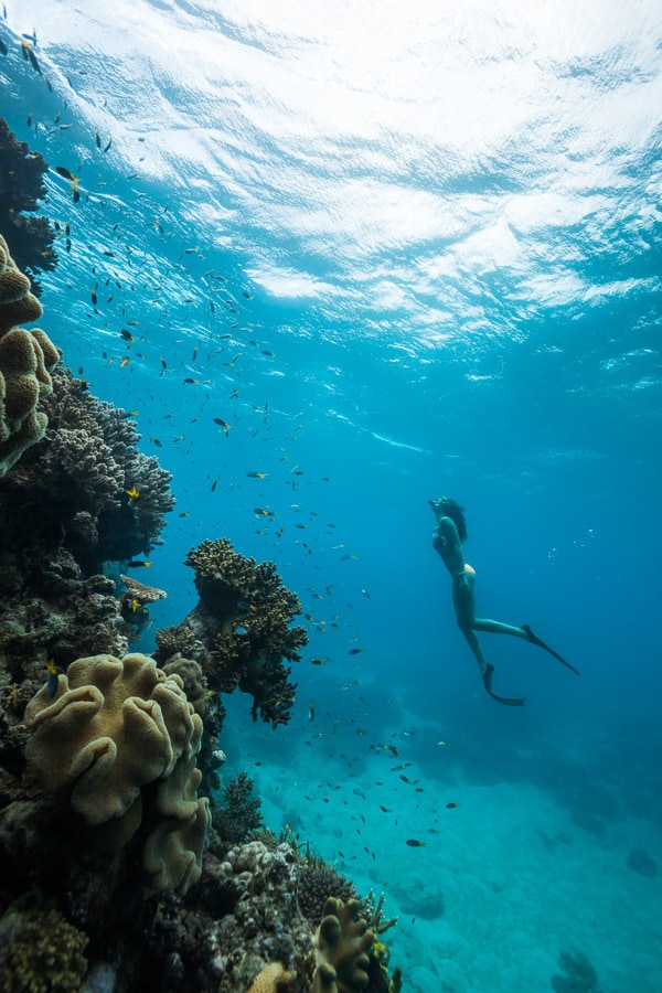 Snorkelling Great Barrier Reef, Hamilton Island