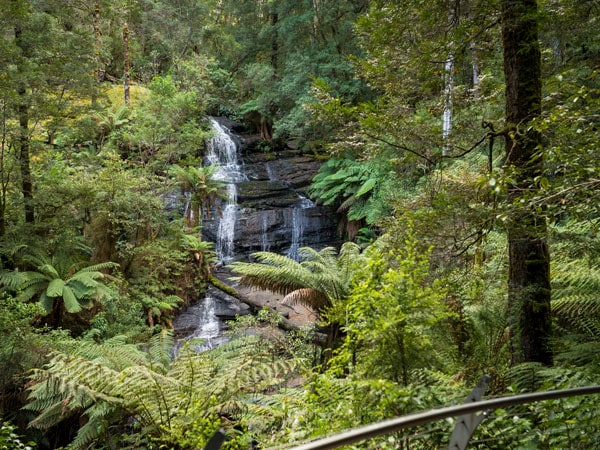 the Triplet Falls in the Great Otway National Park