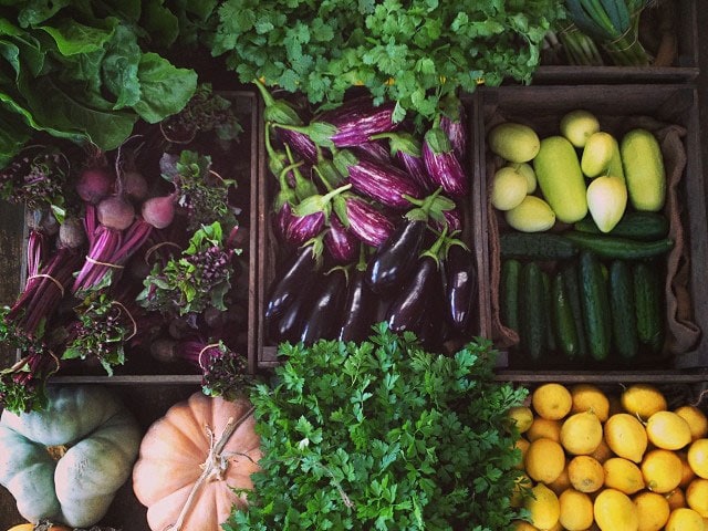 The Old Mill Road Bio Farm