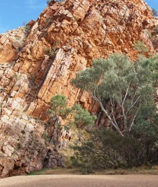 <p><i>Everything to know about</i> the <strong>East MacDonnell Ranges</strong></p>

