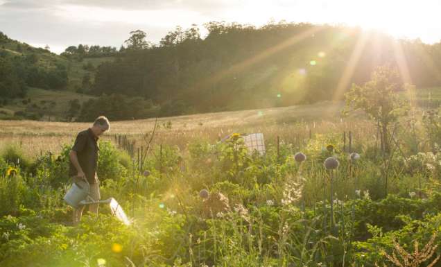 What to do in Cygnet, Tasmania